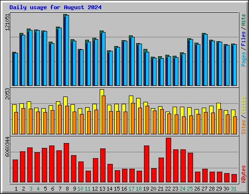 Daily usage for August 2024