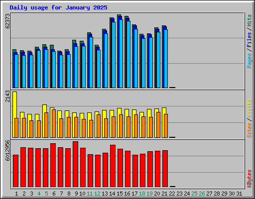 Daily usage for January 2025