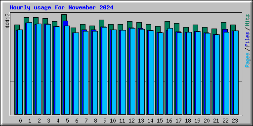 Hourly usage for November 2024