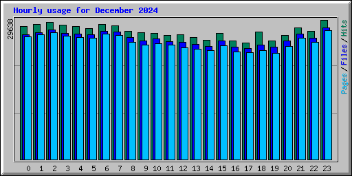 Hourly usage for December 2024