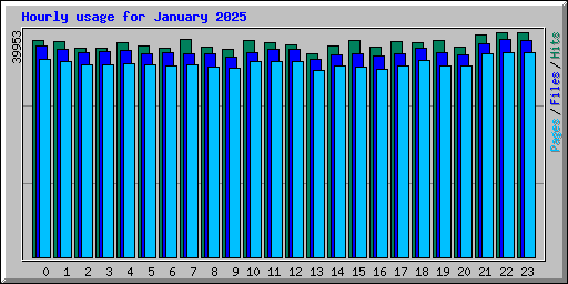 Hourly usage for January 2025