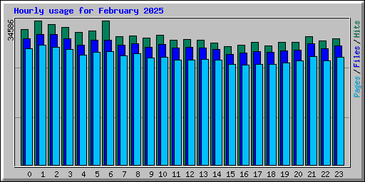 Hourly usage for February 2025