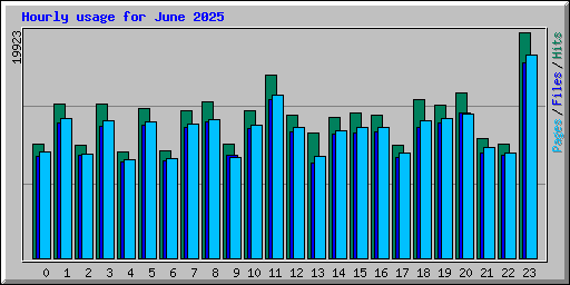 Hourly usage for June 2025
