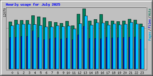 Hourly usage for July 2025