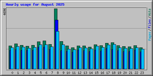 Hourly usage for August 2025
