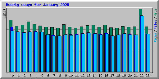 Hourly usage for January 2026