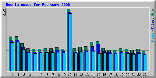 Hourly usage for February 2026